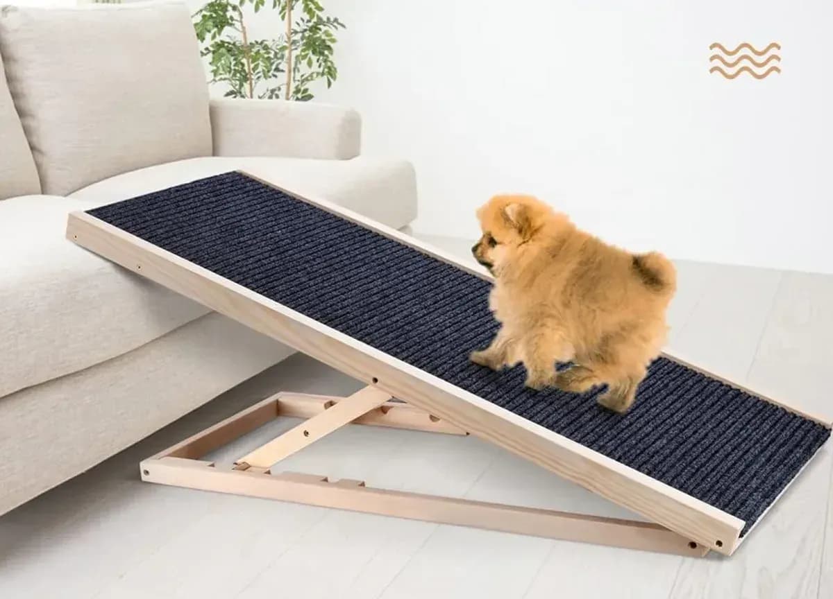 Hunderampe aus Holz an einem Sofa, ein kleiner Hund läuft herunter