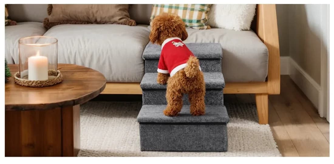 Kleiner Hund steigt über die Hundetreppe auf ein Sofa