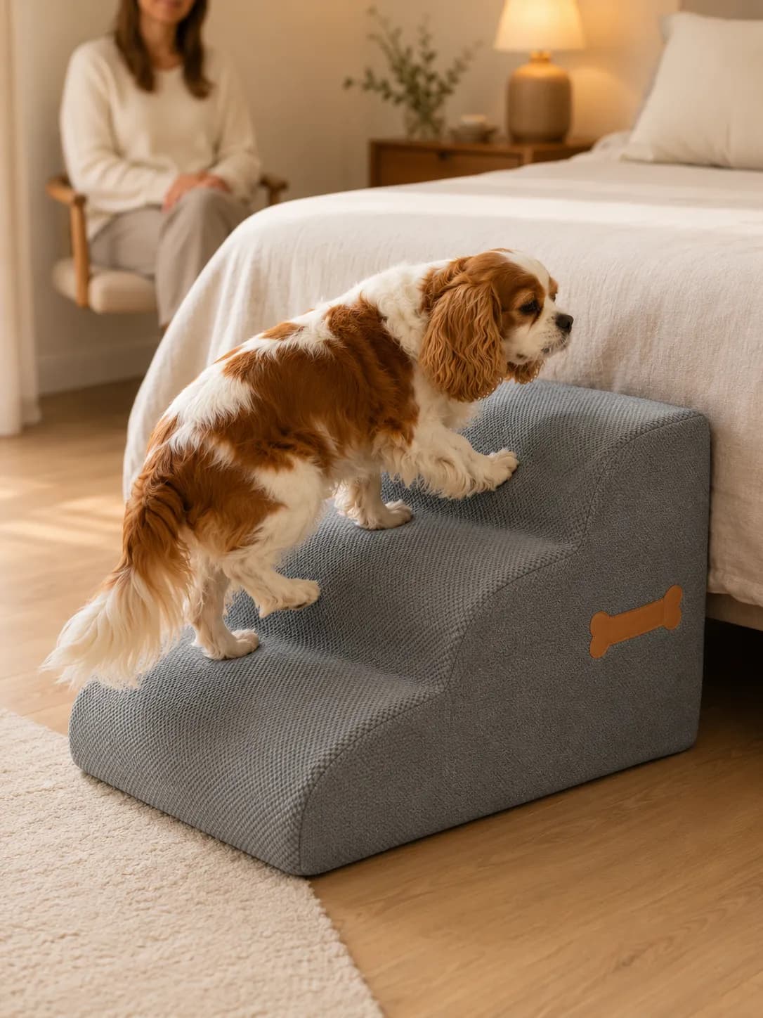 Senior Cavalier King Charles nutzt eine Hundetreppe am Bett