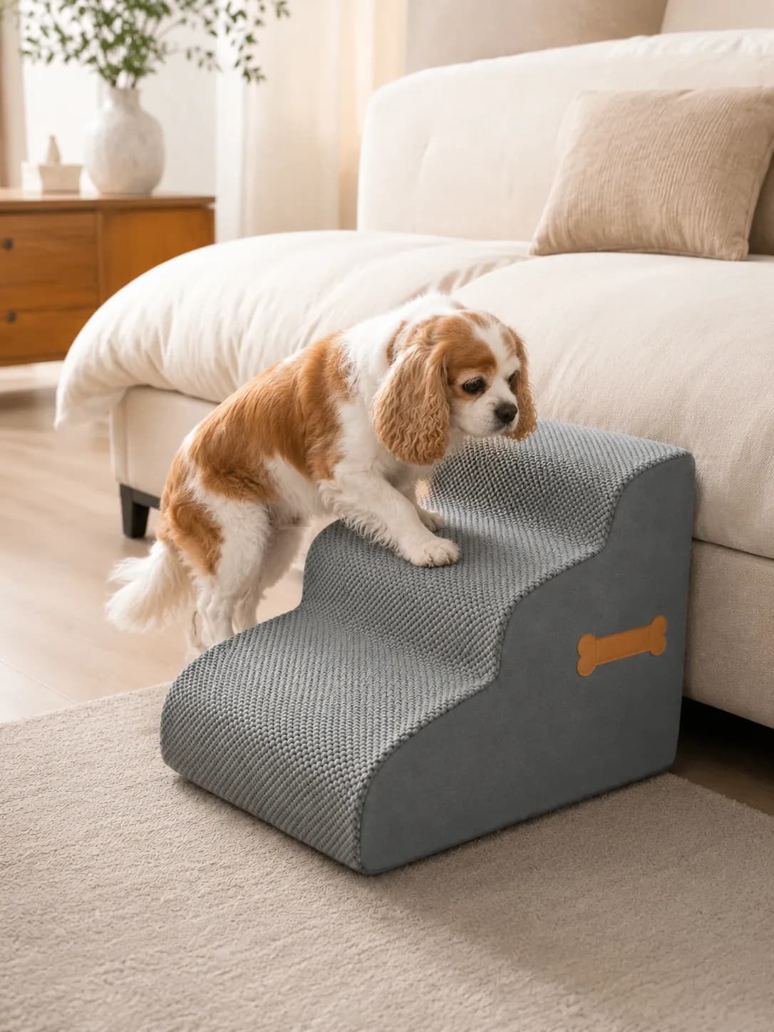 Senior Cavalier King Charles nutzt eine Hundetreppe am Bett