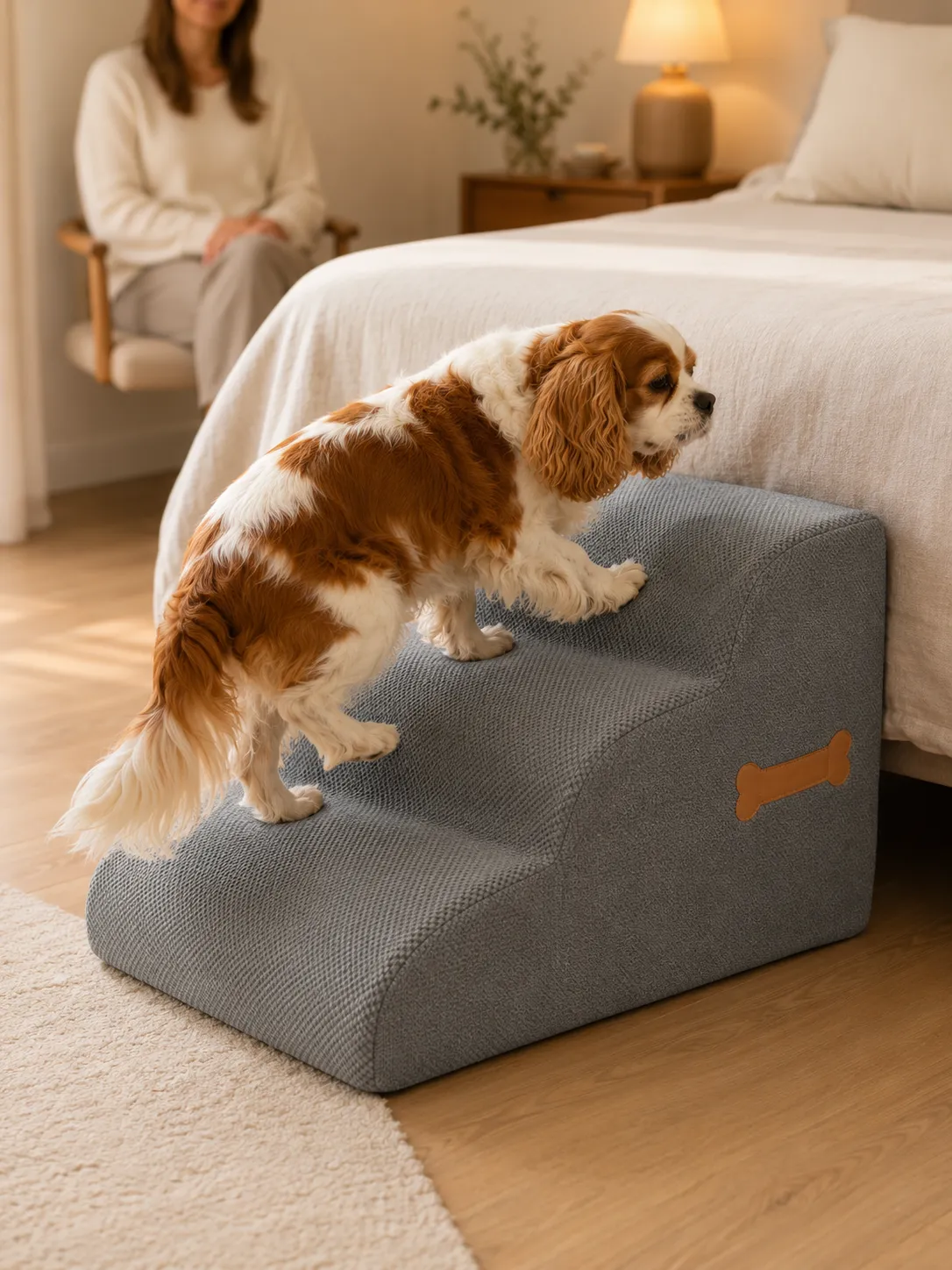 Senior Cavalier King Charles nutzt eine Hundetreppe am Bett